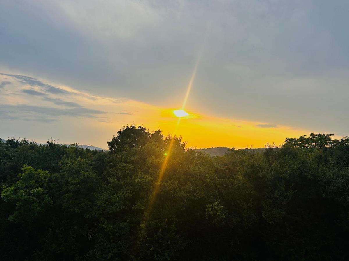Gemuetliche Mit Flair Und Natur Pur Appartement